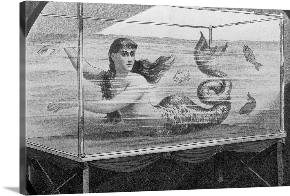 Mermaid swimming in a tank. Detail from turn of the century circus poster.