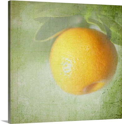 Miniature orange fruit with textured background.