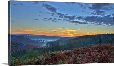 Mist at Gribdale Gate