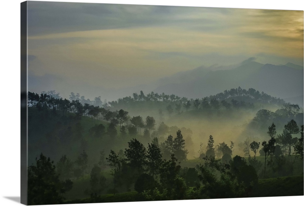 Pooppara , Munnar, Kerala, India