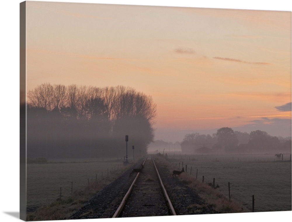 Misty morning sunrise by single railway track with three deer crossing track and farm in distance.