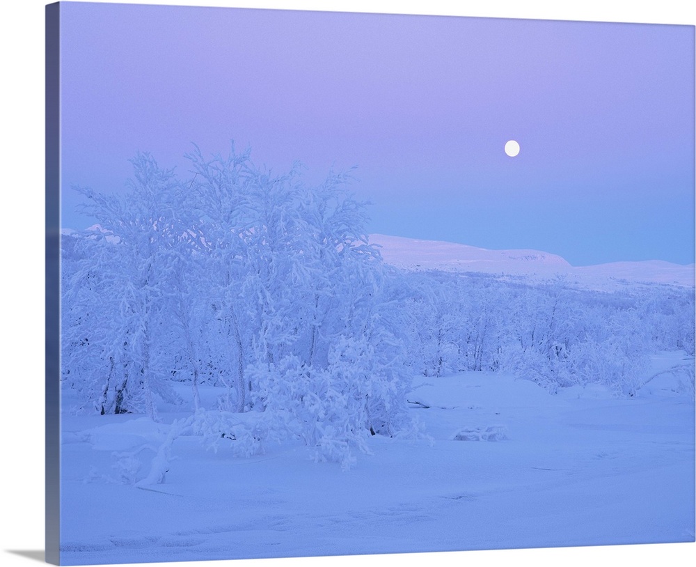 Moonlight over a winter landscape.