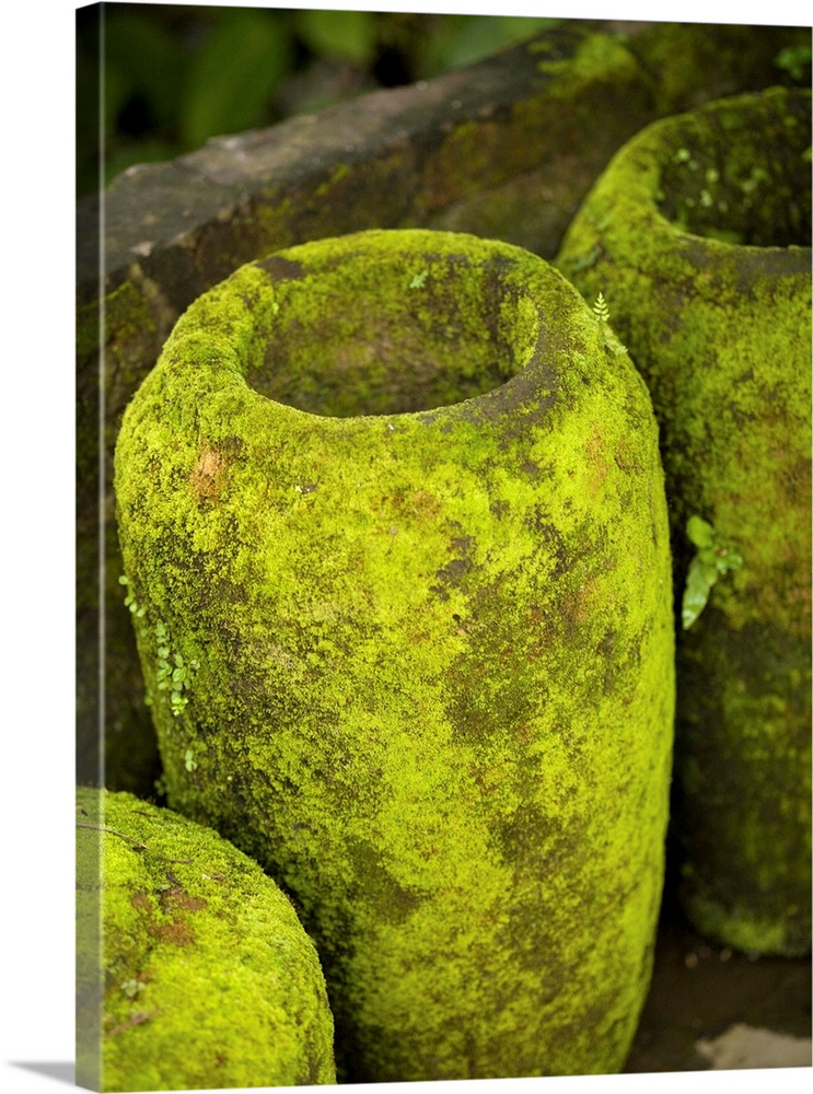 Moss covered urns