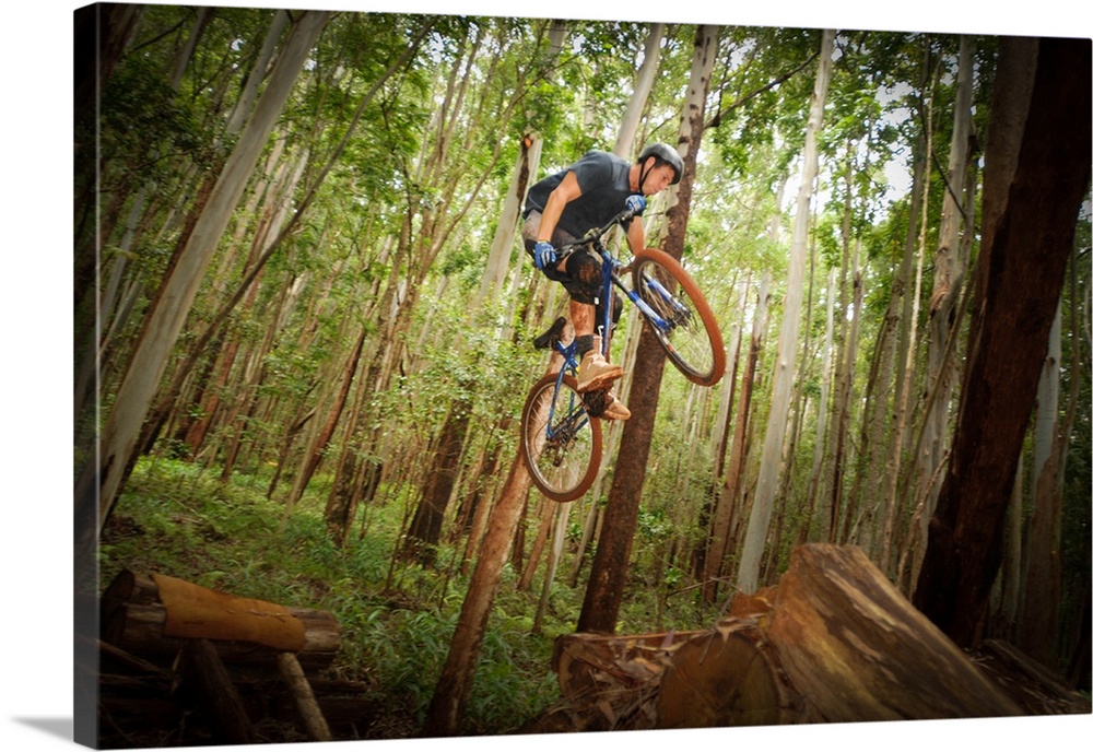 Mountain biker jumps with  trees in background at forest in Makawao, Hawaii.