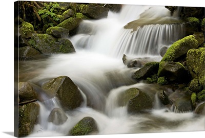 Mountain stream and moss-covered boulders, Olympic National Park, Washington