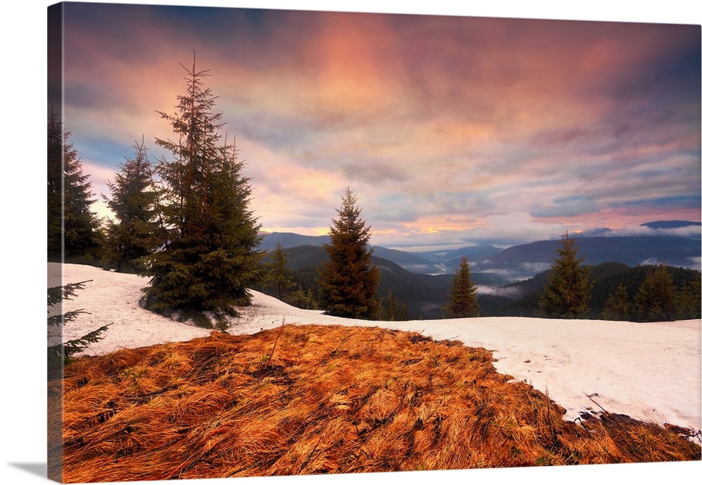 Mountain sunrise. Pine trees and melting snow  that allow to see the brown grass. Cloudy sky and remote fog over the hills