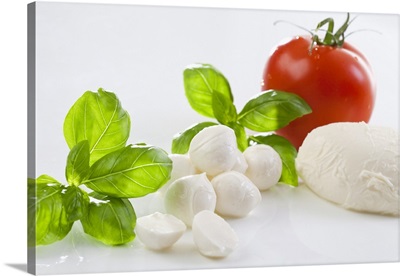 Mozzarella cheese and basil leaves