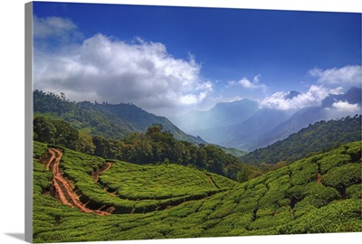 Munnar - Top Station