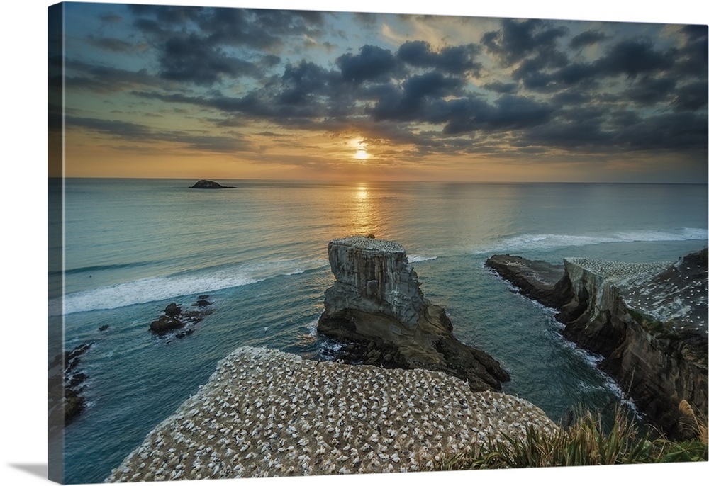 Sunset at Muriwai Beach from the cliffs overlooking the gannet colony