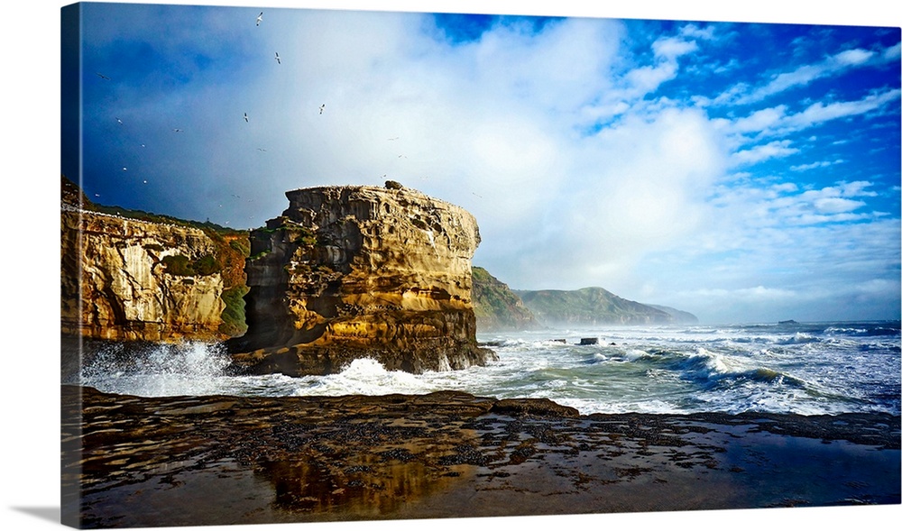 Muriwai in auckland, after bad weather. sea is raging. gannets can be seen flying in the gusty sea wind