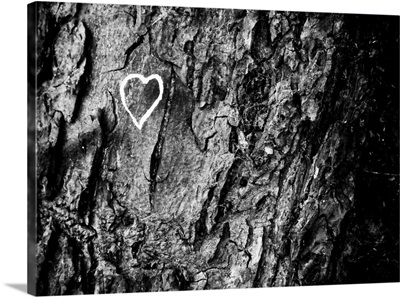Nature loving graffiti on tree in Bath Green Park.