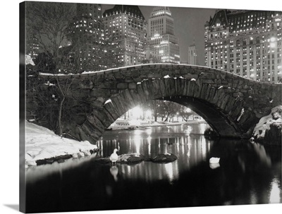 New York Pond In Winter