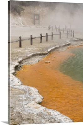 New Zealand, Thermal Wonderland, Champagne Pool, View of hot springs