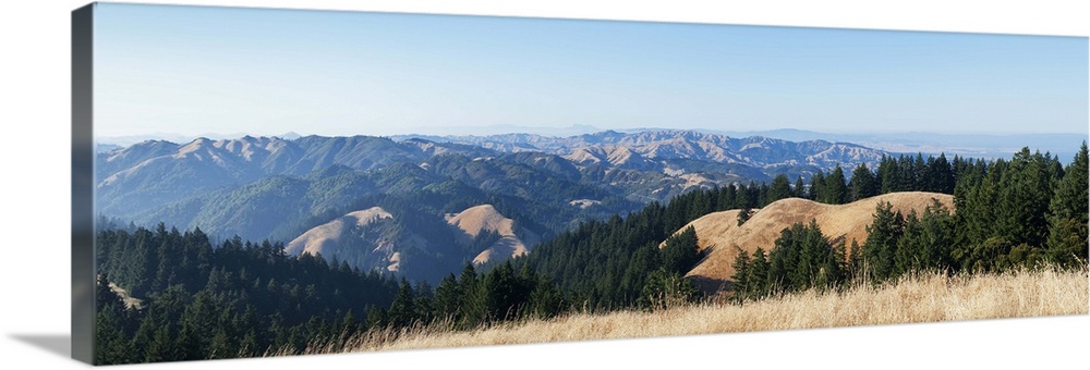 Mill Valley, California, United States, Marin County, North America