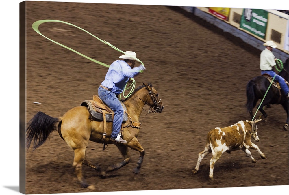 USA, Oklahoma, Oklahoma City, Oklahoma State Fair Park, Cowboy Rodeo Competition, cattle roping, motion-blur