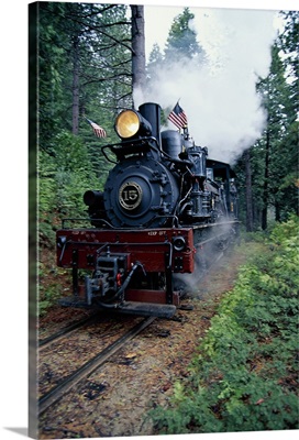 Old fashioned train