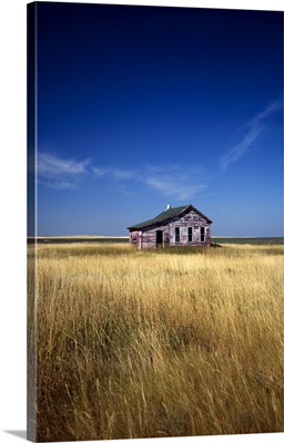 Old house in a field, North Dakota