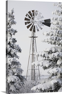 Old windmill and trees covered with snow and frost