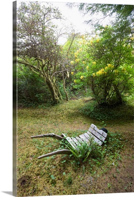 old wooden wheelbarrow in cougar annie's garden