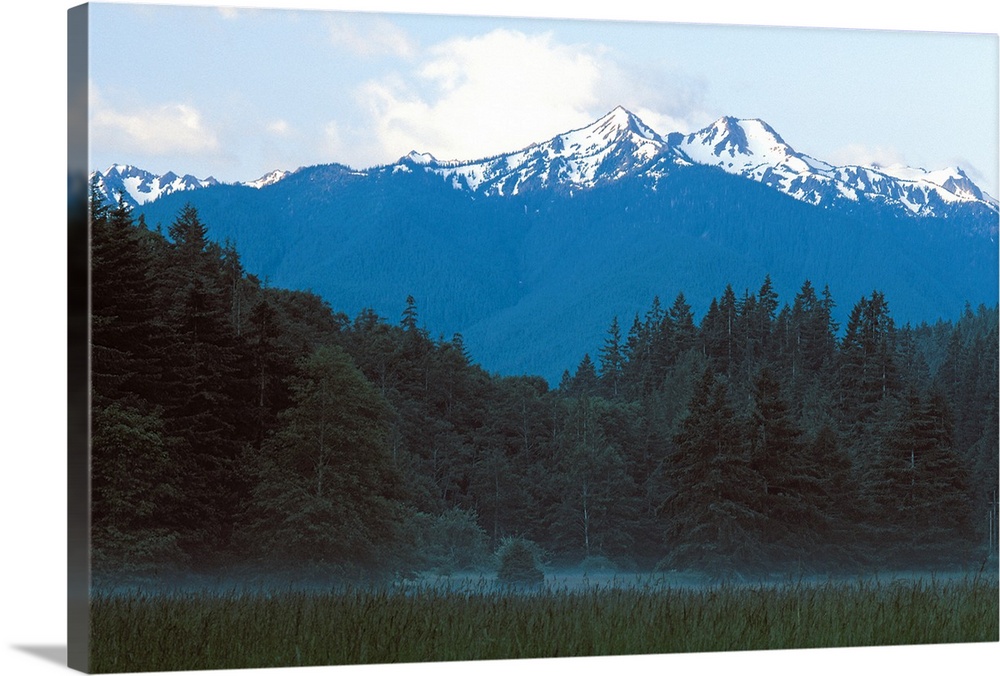 Olympic National Park , Mt. Olympus , Washington