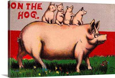 On The Hog Postcard