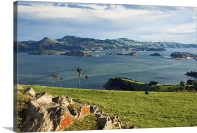 Otago Harbour viewed from Heyward Point Rd, New Zealand