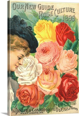 Our New Guide To Rose Culture, 1899 Catalog Cover For The Dingee and Conard Co.