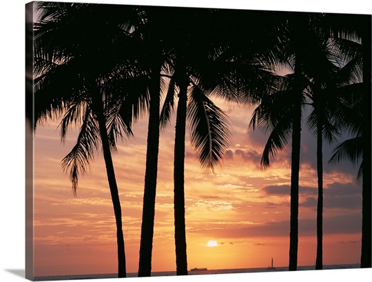 Palm Tree Wall Art, Canvas Prints, Framed Prints, Wall Peels | Great