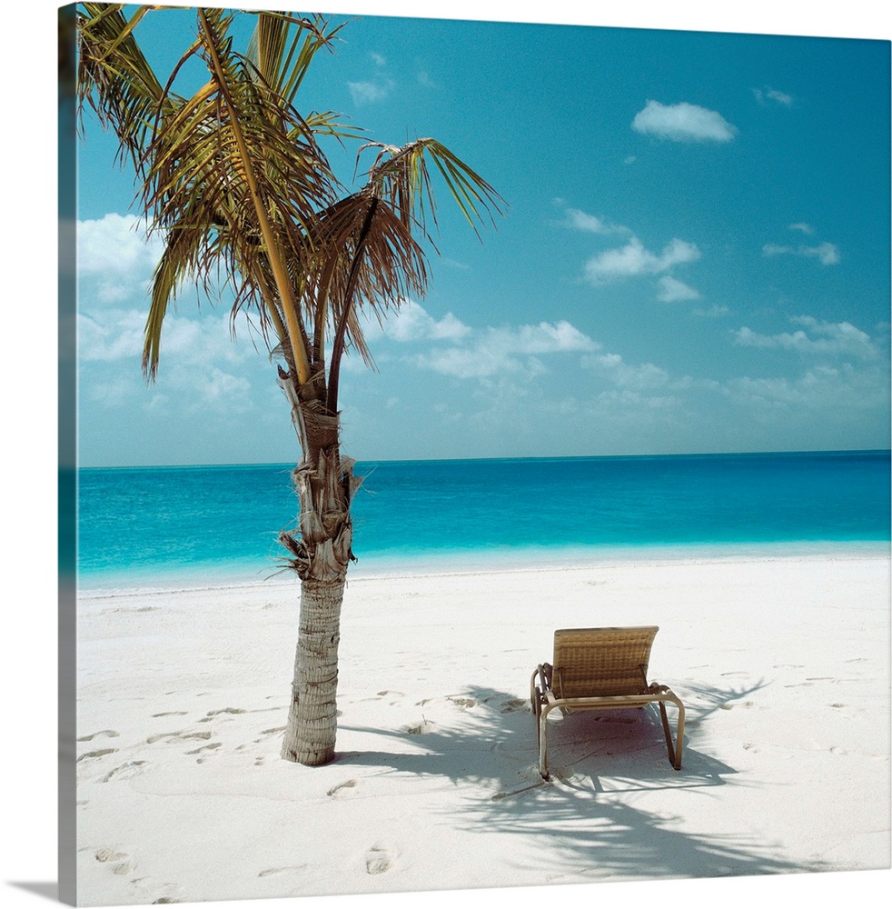 Palm Tree And Beach Chair