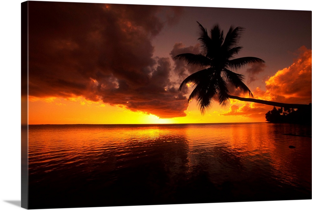 Palm tree with trunk bent far out over the ocean, silhouetted by a yellow sunset sky.