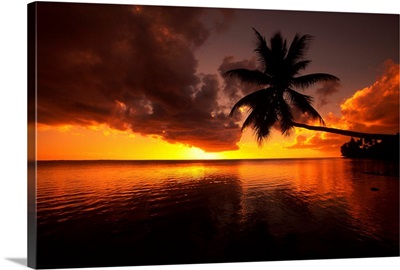 Palm tree bent far out over the ocean, silhouetted by a yellow sunset sky