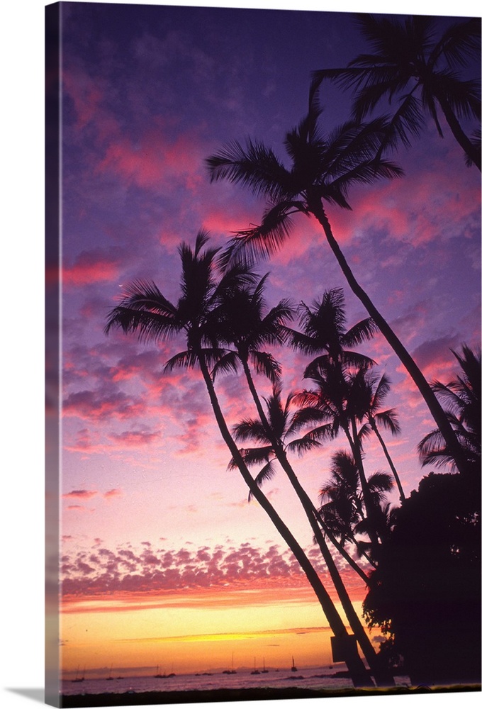 This is a vertical photograph of a tropical scene where palm trees a stretching towards the clouds over the sandy shore.