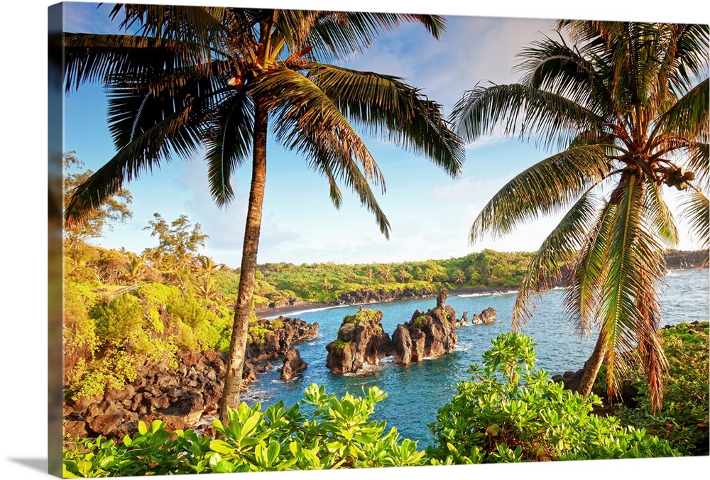 Landscape photograph of two large palm trees swaying over the coastline in Maui, Hawaii.  Large rocks in the blue waters a...