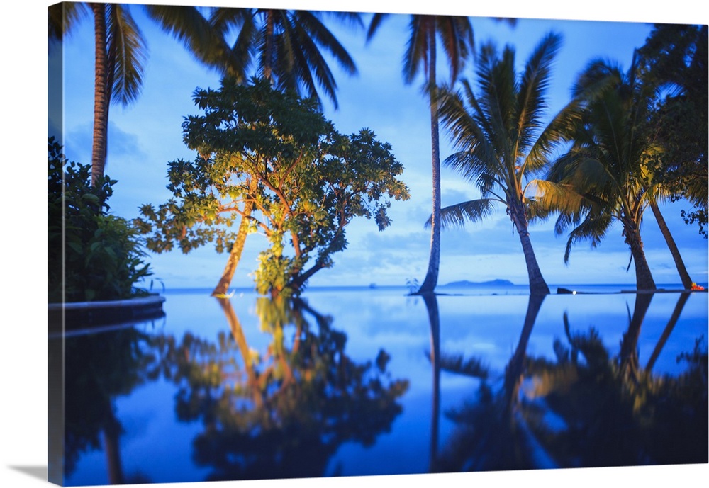 Palm trees reflected in still lake