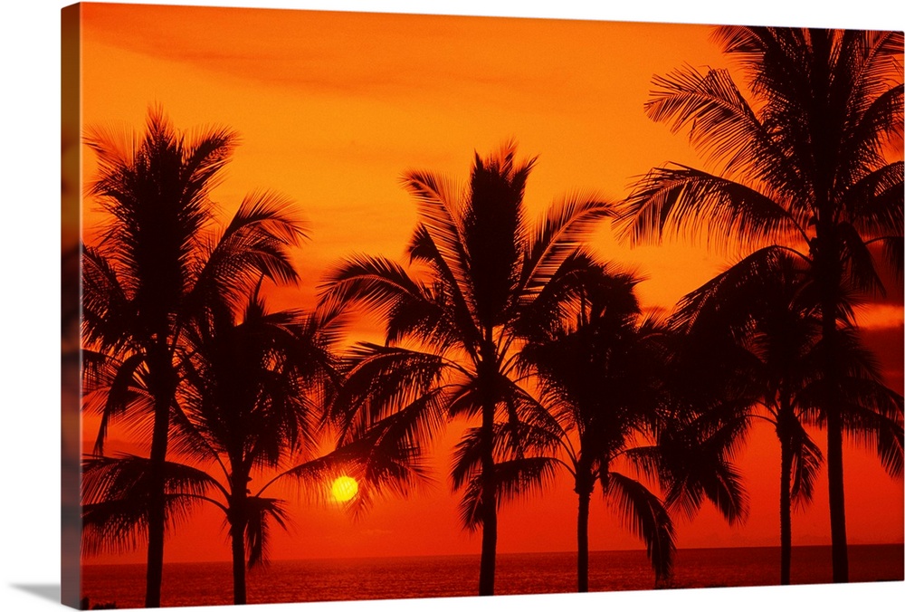 Palm trees silhouetted by bright yellow sunball, red sunset sky