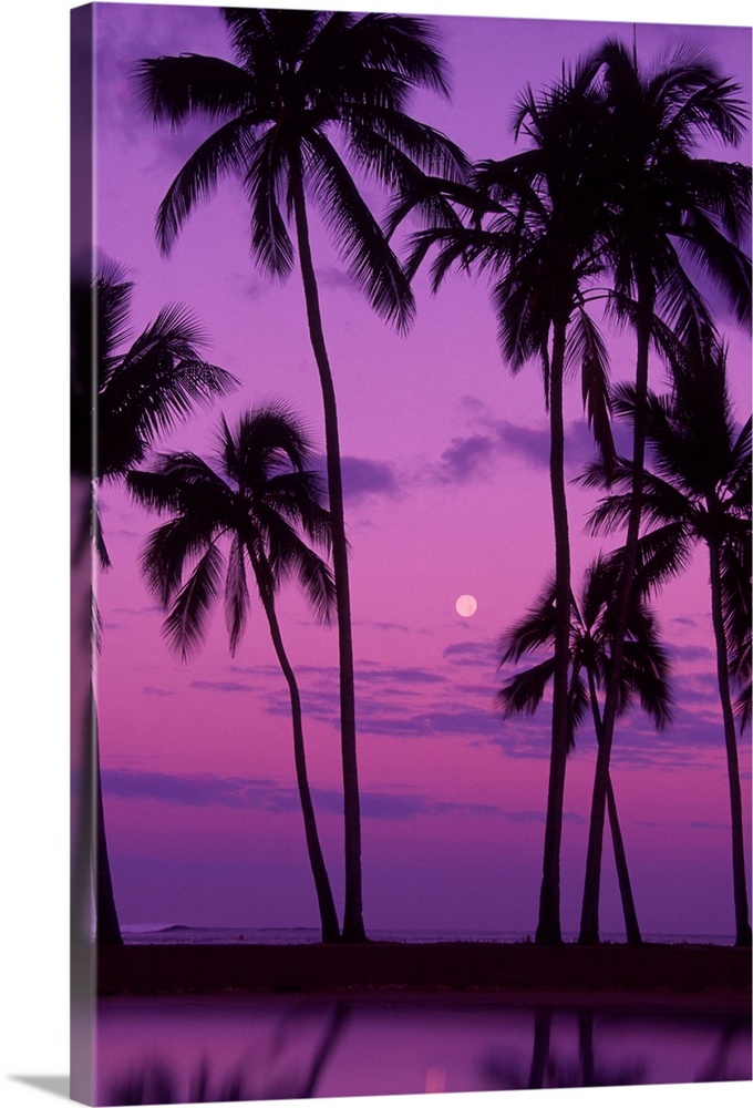 Palm trees with moon in a bright pink and purple sky, reflecting on still water.