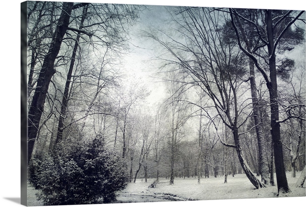 Park in winter with snow and a small river in the foreground, picture is overworked with textures.