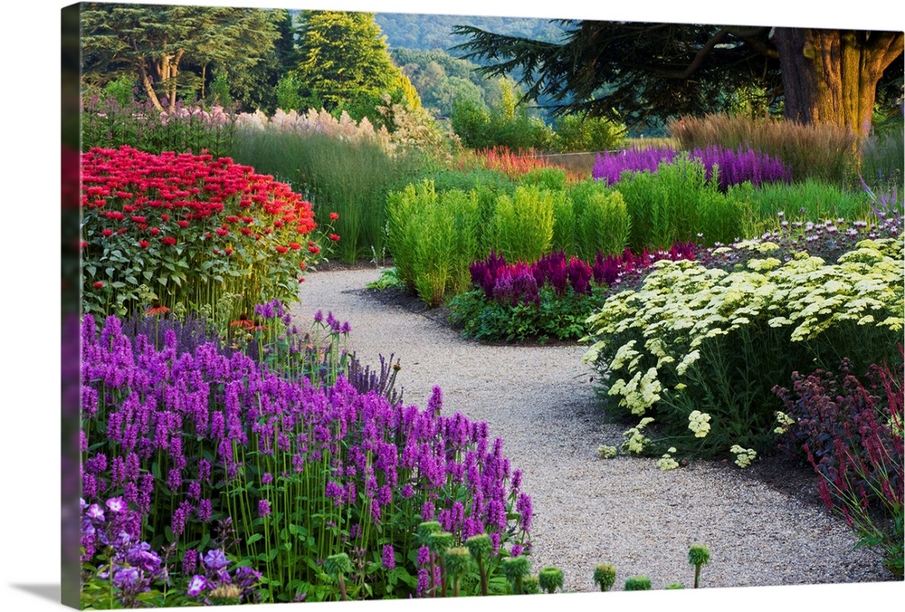 Path In Trentham Gardens