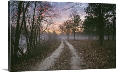 Path into the Fog, Kinston, North Carolina, USA