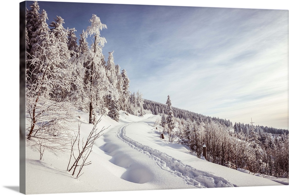 Path leading through winter landscape, black forest, blue sky, trees, snow