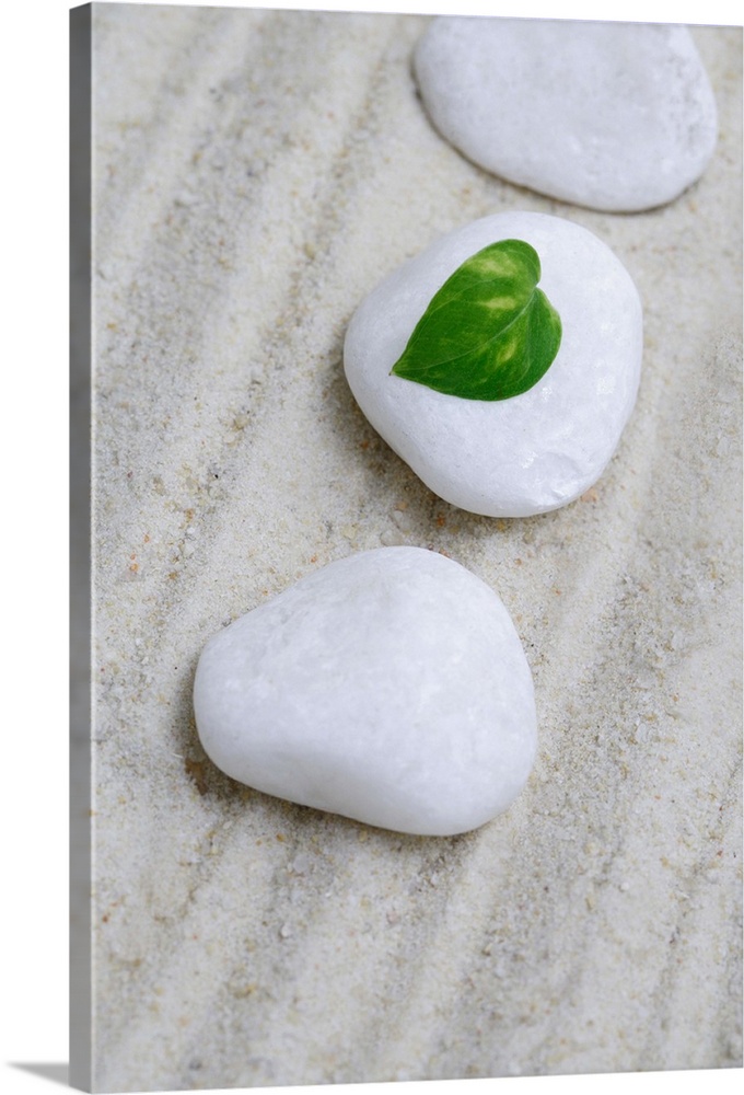 Pebble in sand with a leaf on it