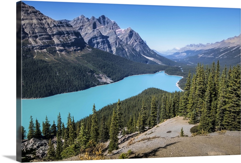 Peyto Lake, Canada