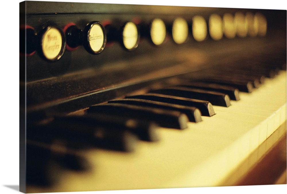 Piano keys and buttons.