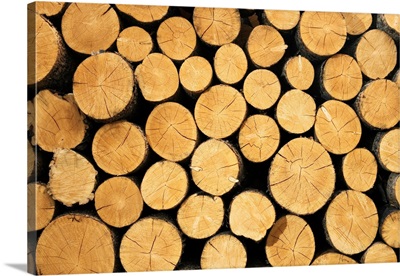 Pile of wood