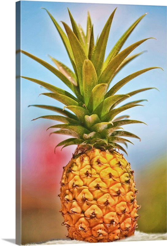 Pineapple Wall Art, Canvas Prints, Framed Prints, Wall Peels Great