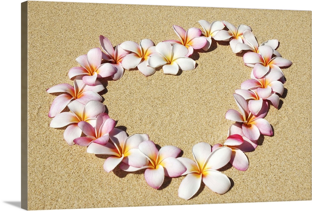 Pink and white plumeria blossoms arranged in heart on sand.