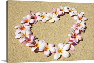 Pink and white plumeria blossoms arranged in heart on sand