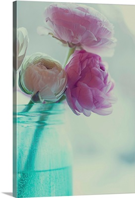 Pink and white ranunculus flowers in aqua colored vase.