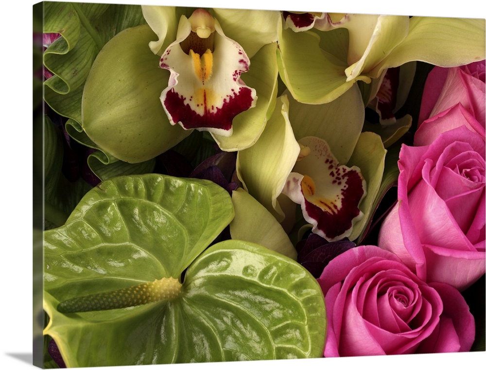 Pink roses, green anthuriums, cymbidium orchids