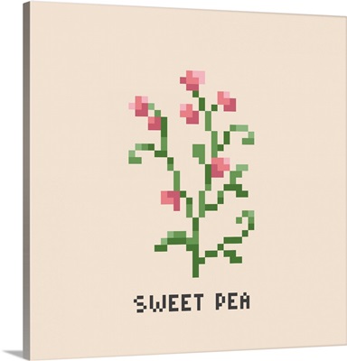 Pink Sweet Pea Pixel Art